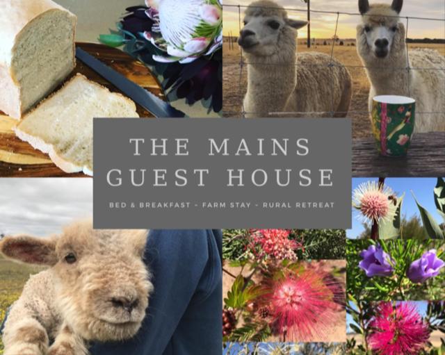The Mains Guest House 2 Bedroom Farm Stay Corrigin 외부 사진