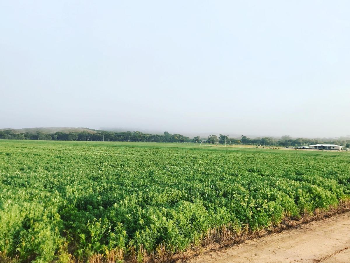 The Mains Guest House 2 Bedroom Farm Stay Corrigin 외부 사진